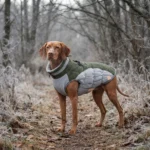 Waterproof Reflective Dog Winter Coat with Built-In Harness - Image 10